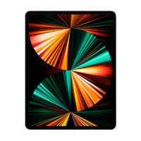 Apple iPad Pro 2021 12,9" 512GB WiFi Plata