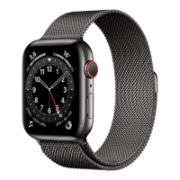 Apple Watch Series 6 Acero Inoxidable 40 mm GPS + Cellular Grafito/Milaneses Loop Grafito