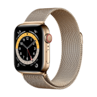 Apple Watch Series 6 Acero Inoxidable 40 mm GPS + Cellular Oro/Loop Oro