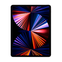 Apple iPad Pro 2021 12,9 1TB WiFi Gris Espacial