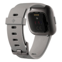 Fitbit Versa 2 Aluminio Gris Biebla / Gris Piedra